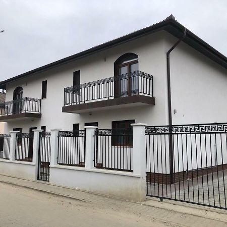 Holiday Luxury Villa With Private Garden Şelimbăr 외부 사진