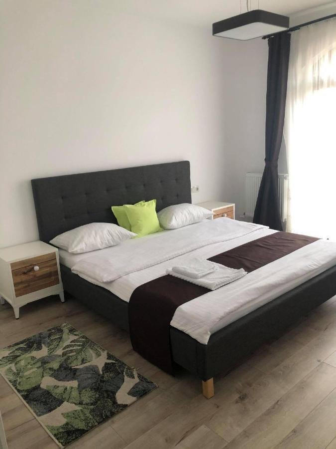 Holiday Luxury Villa With Private Garden Şelimbăr 외부 사진