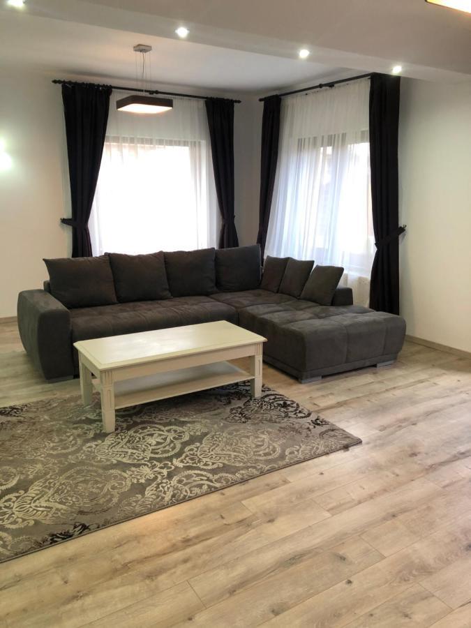 Holiday Luxury Villa With Private Garden Şelimbăr 외부 사진